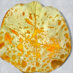 Best Cheese Naan in Grand Junction, CO