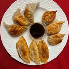 Best Pan Fried Dumpling Combo (9) in Boca Raton, FL
